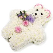 Teddy Tribute 1