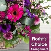 Florist Choice Basket Arrangement