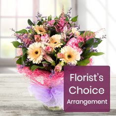 Florist&#39;s Choice Vase Arrangement