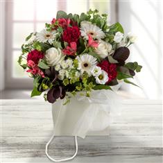 Sweet Treat Christmas Handtied in water 