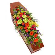 vibrant coffin spray