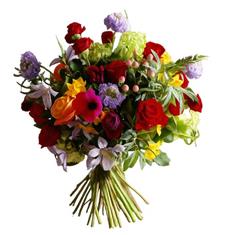 Signature Subscription