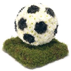 3D football 